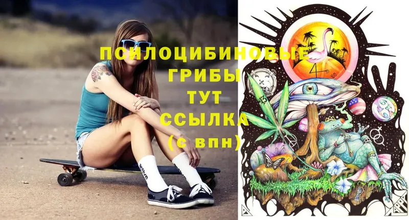 Галлюциногенные грибы MAGIC MUSHROOMS  Кинешма 